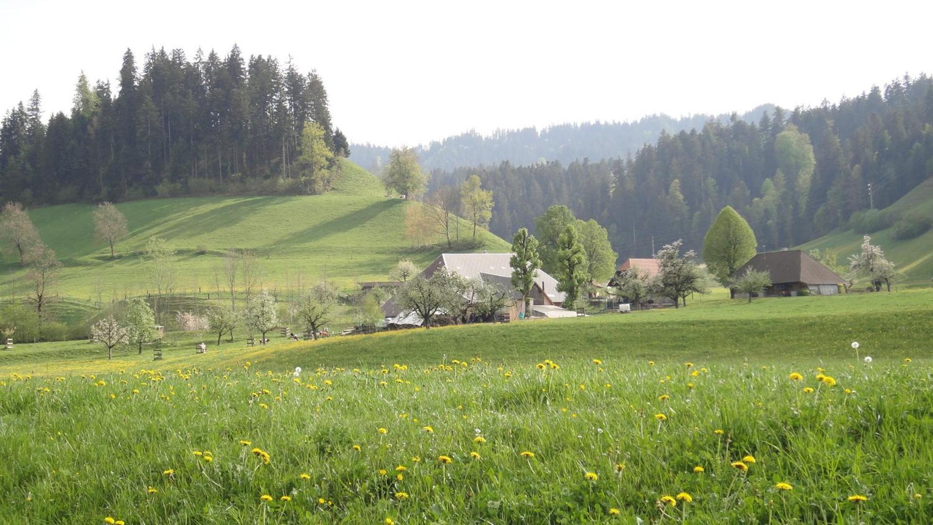 Landgasthof-Hotel Adler Langnau Εξωτερικό φωτογραφία